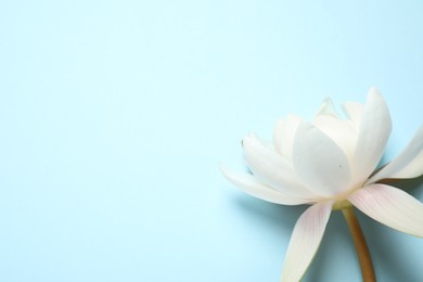 Photo of Beautiful white lotus flower on light blue background, top view. Space for text