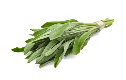Photo of Bunch of fresh sage isolated on white