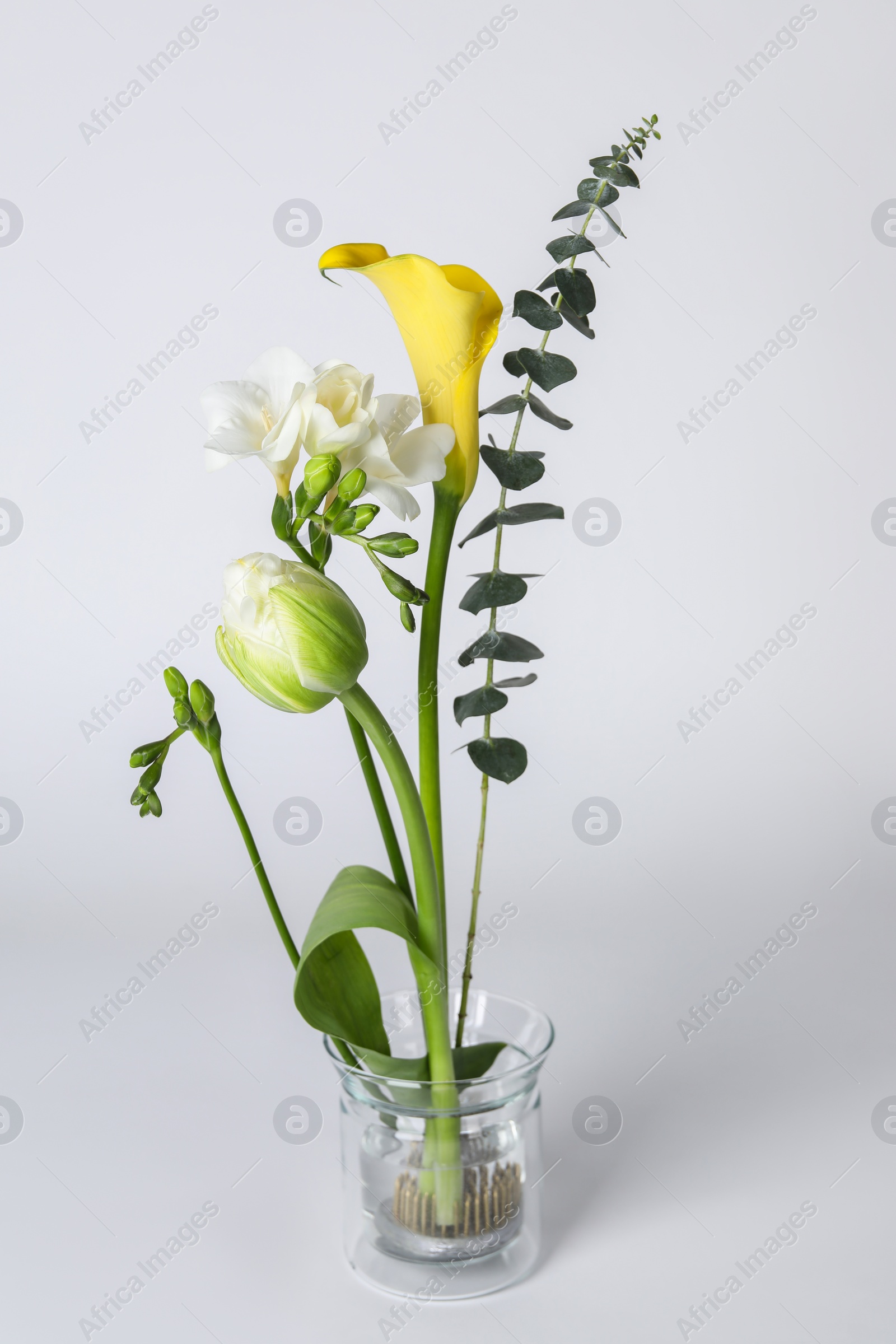 Photo of Beautiful ikebana for stylish house decor. Floral composition with fresh flowers and eucalyptus branch on white background