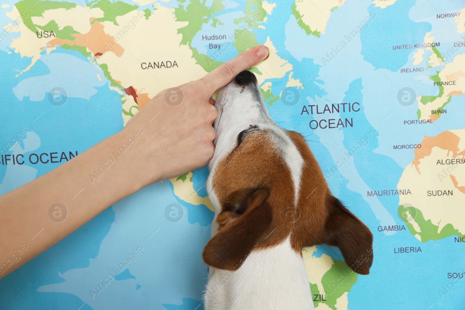 Photo of Woman with dog pointing at location on world map, closeup. Travel with pet concept