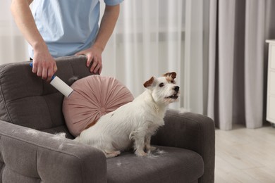 Cute dog on armchair. Man removing pet's hair indoors, closeup