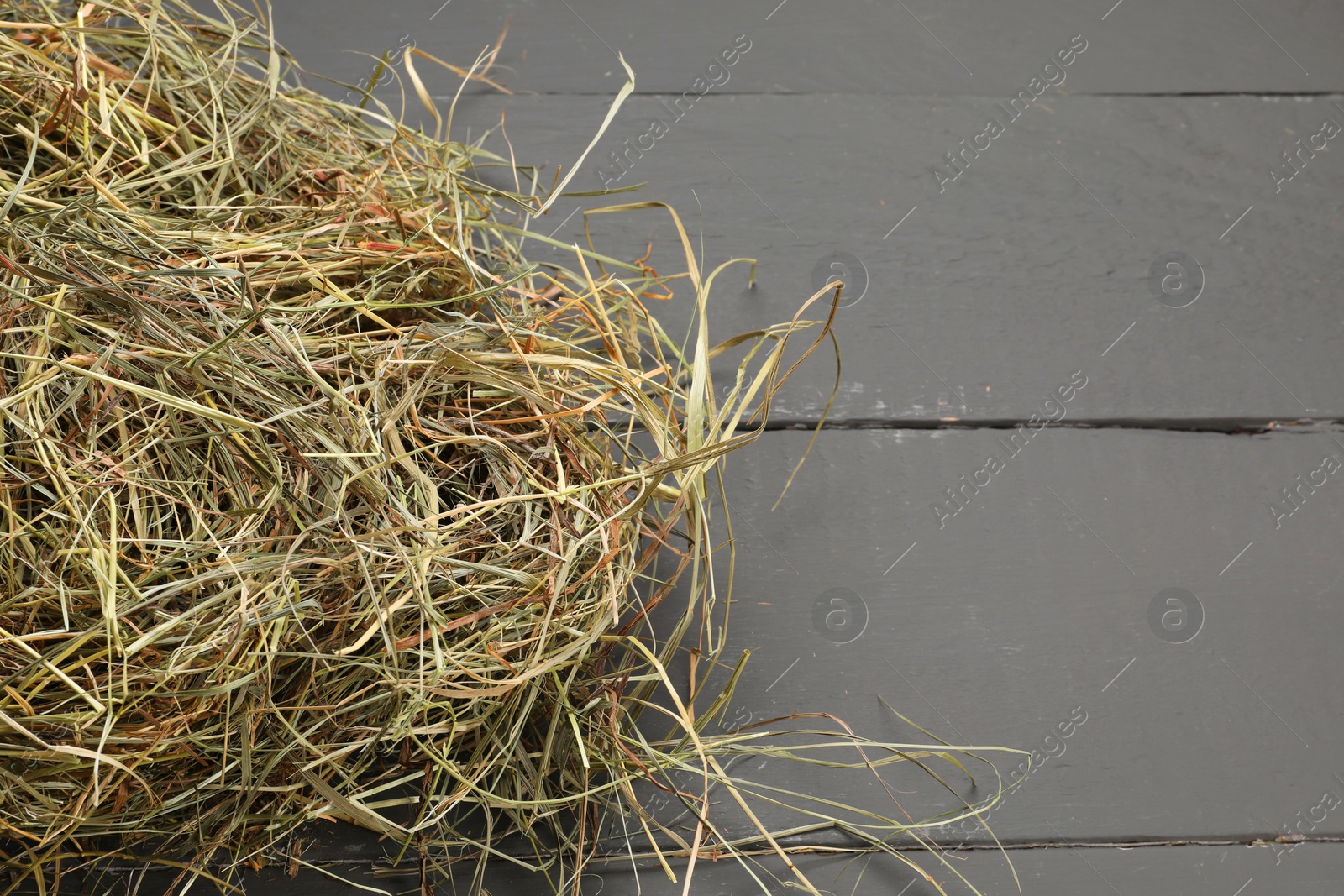 Photo of Dried hay on grey wooden table, closeup. Space for text