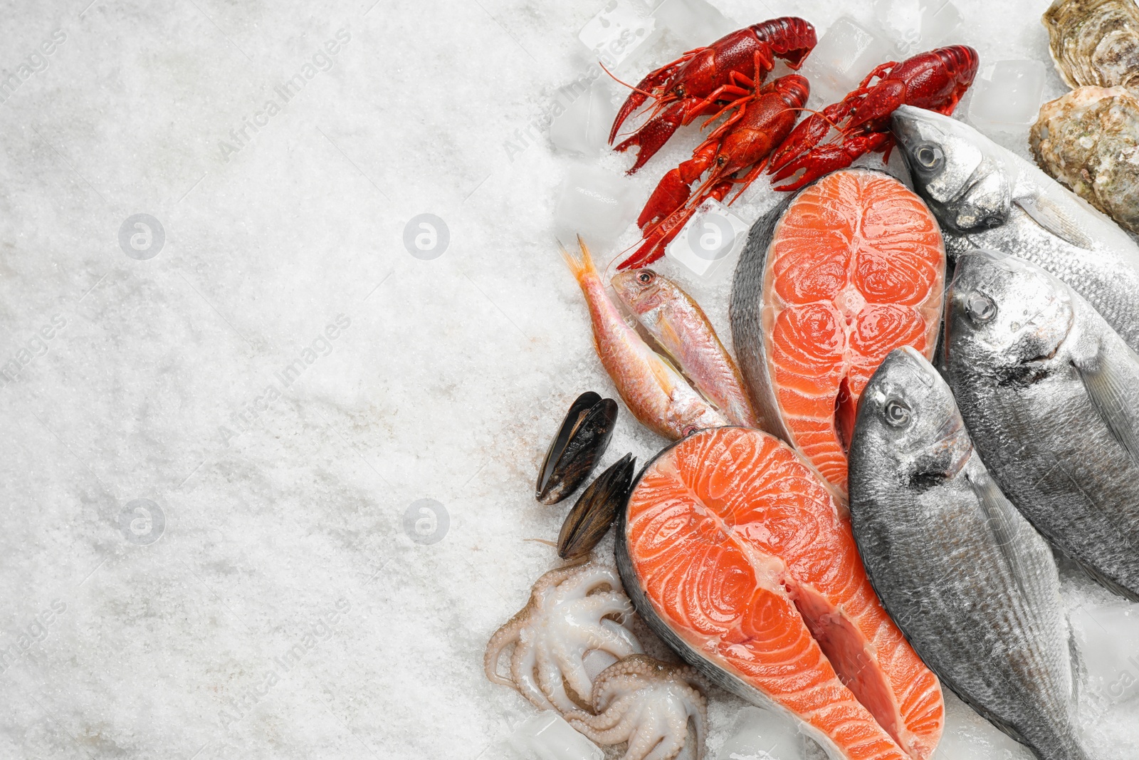 Photo of Fresh fish and seafood on ice, flat lay. Space for text