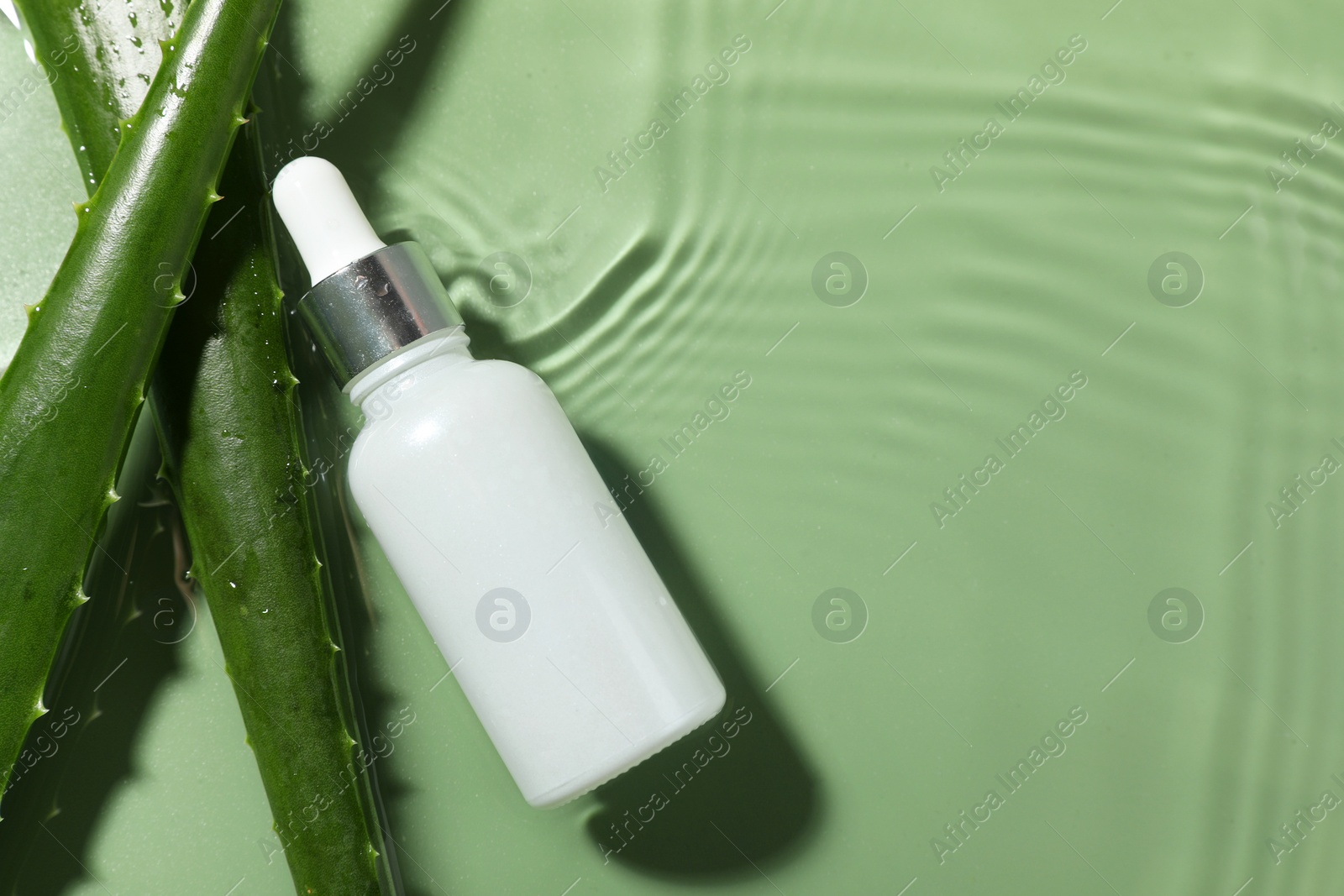 Photo of Bottle of cosmetic product and aloe leaves in water on pale green background, flat lay. Space for text