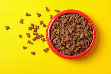 Bowl with food for cat or dog on color background. Pet care