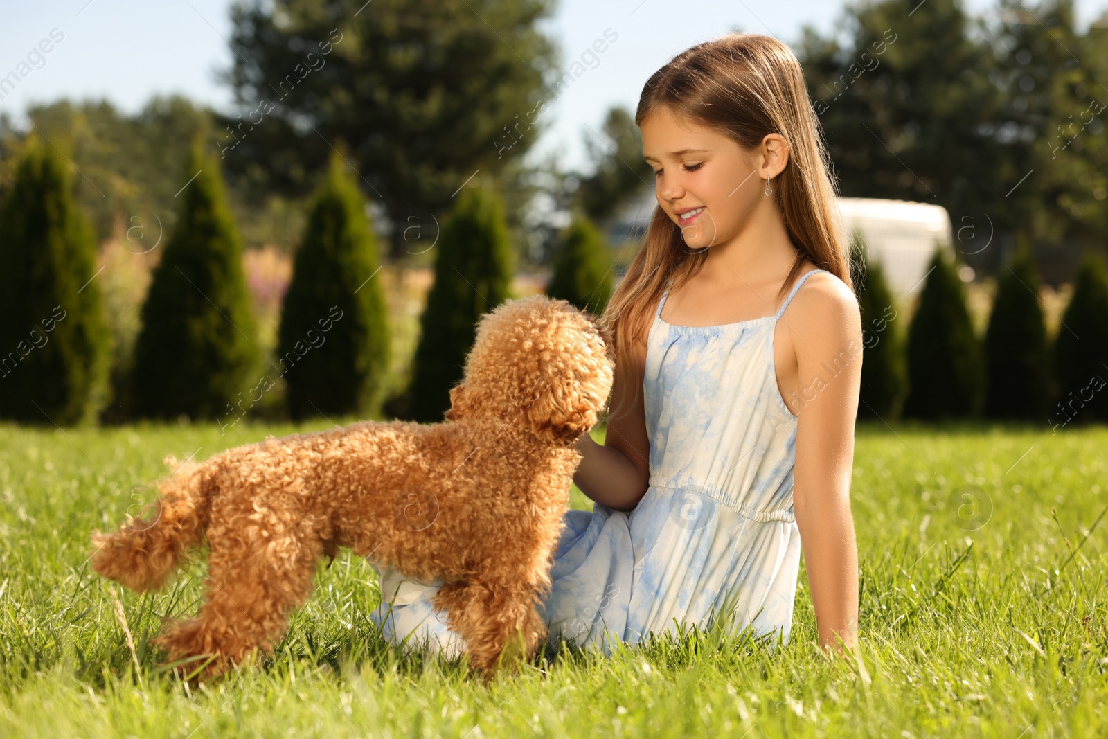 Photo of Beautiful girl with cute Maltipoo dog on green lawn in park