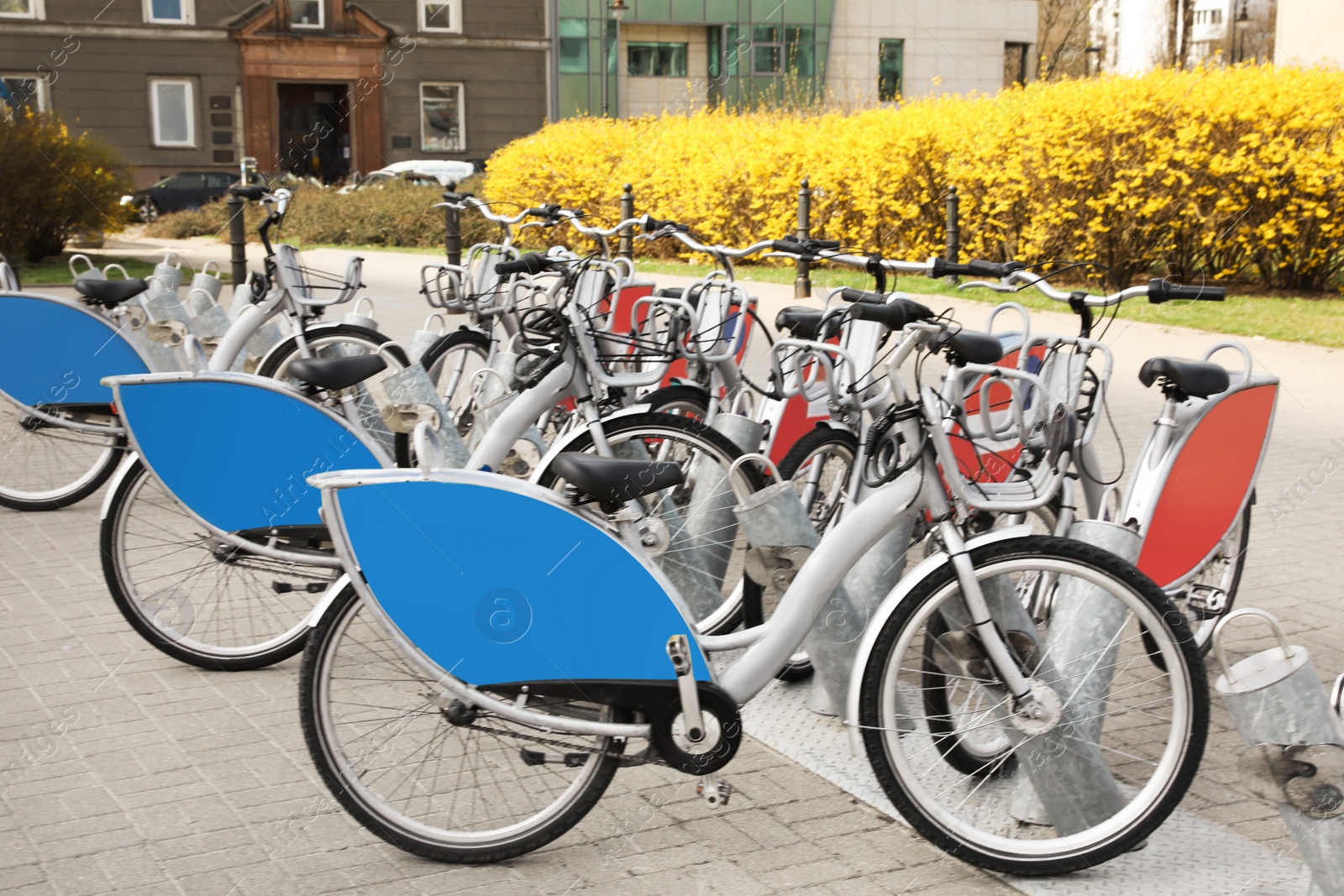 Photo of Parking rack with many bicycles outdoors. Bike rental