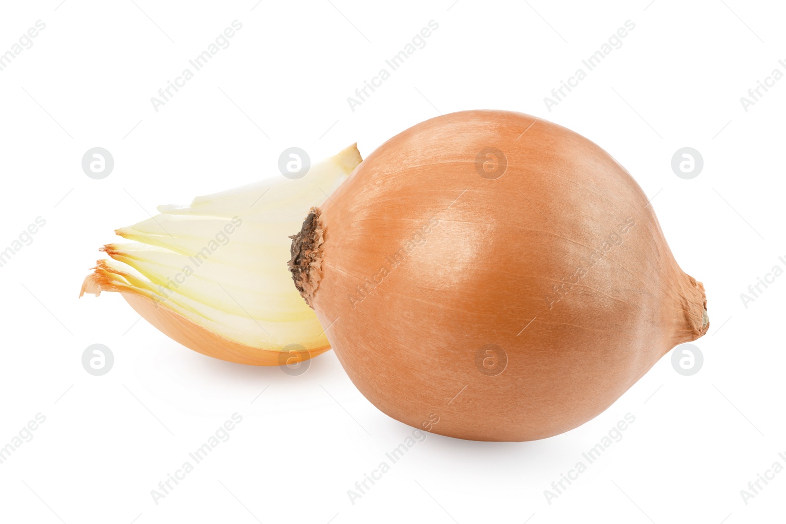 Image of Whole and cut onion bulbs isolated on white