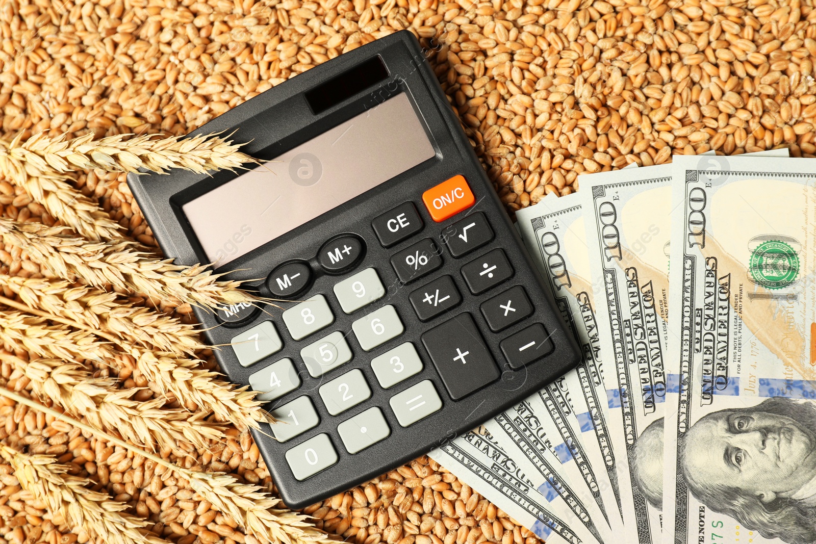 Photo of Dollar banknotes, calculator and wheat ears on grains, top view. Agricultural business