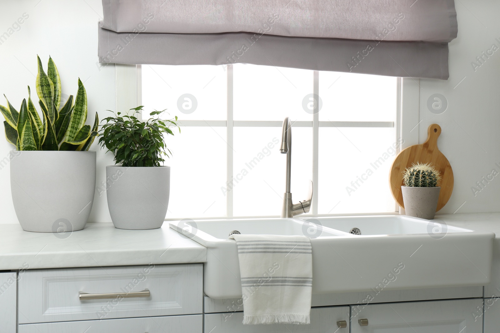 Photo of Ceramic sink and modern tap in stylish kitchen interior