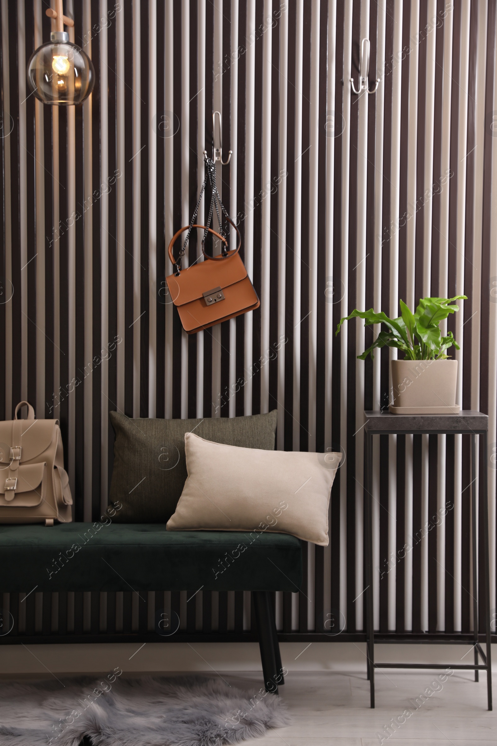 Photo of Modern hallway interior with fresh potted fern and bench