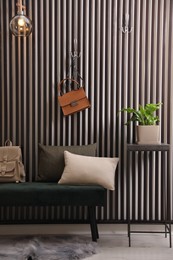 Modern hallway interior with fresh potted fern and bench