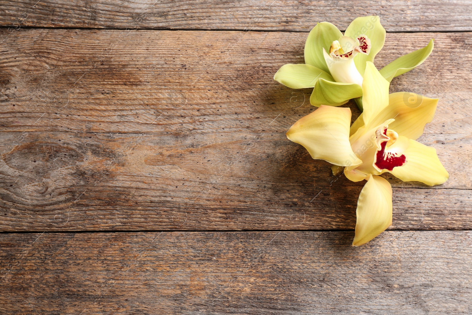 Photo of Beautiful tropical orchid flowers on wooden background, flat lay. Space for text