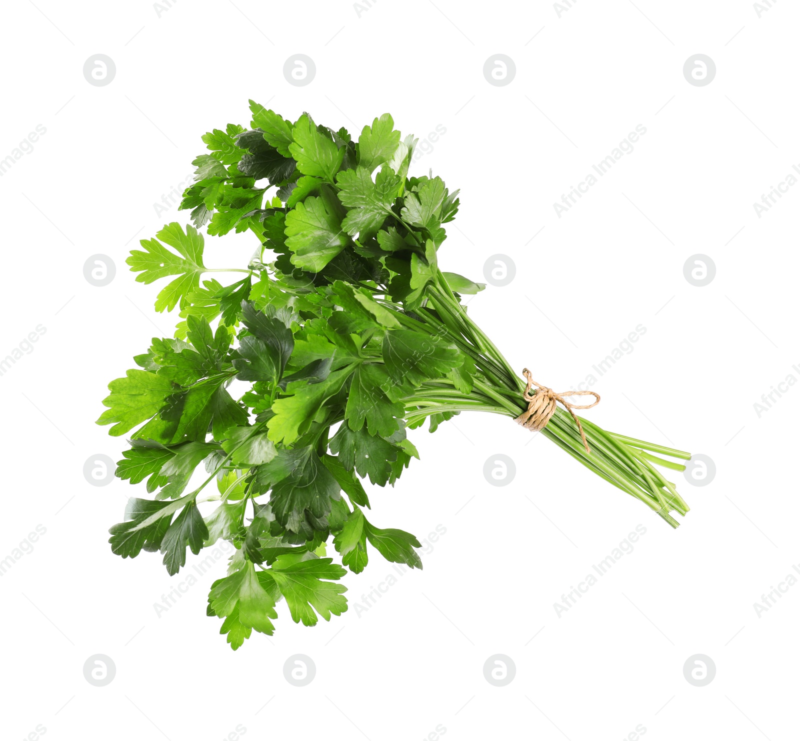 Photo of Bunch of fresh green parsley isolated on white