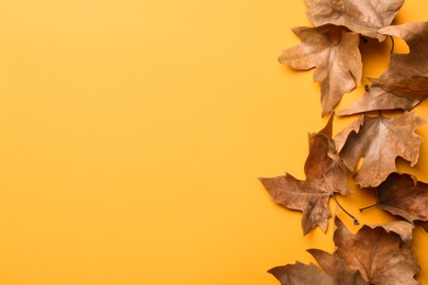 Dry autumn leaves on yellow background, flat lay. Space for text