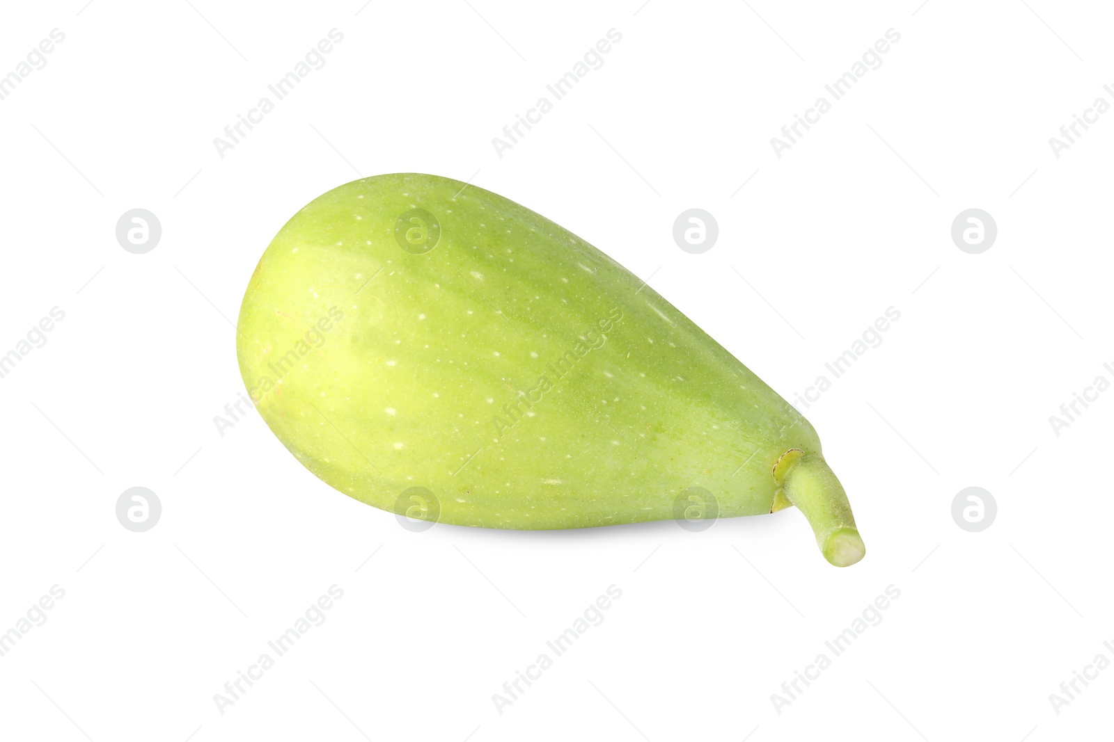 Photo of One fresh green fig isolated on white