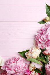 Beautiful peonies on pink wooden table, flat lay. Space for text