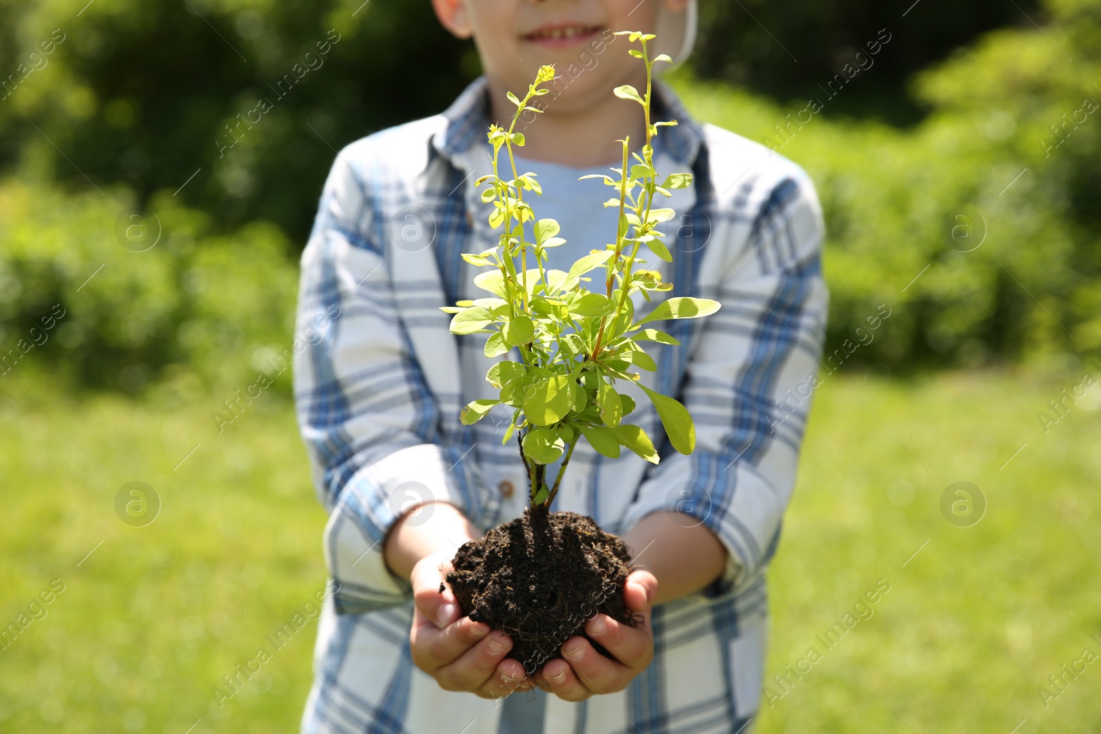 Photo of Child holding soil with young green tree outdoors, closeup