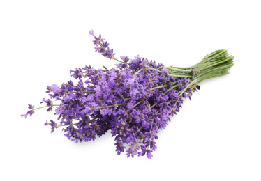Beautiful fresh lavender bouquet isolated on white