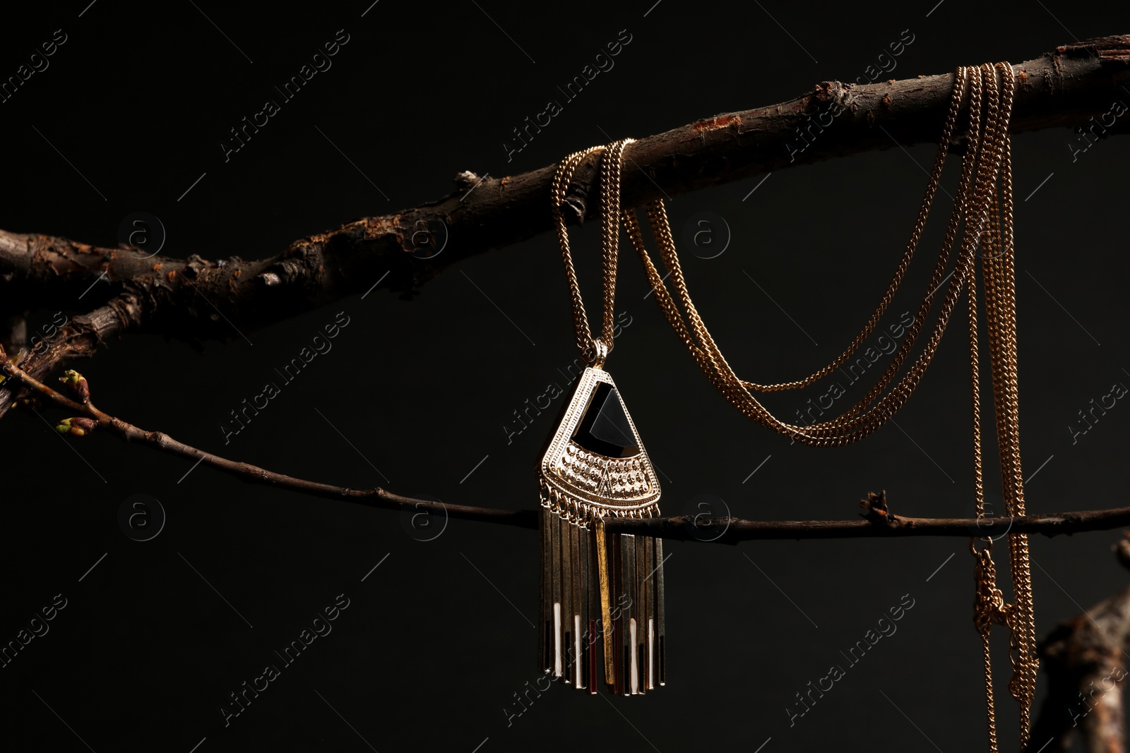 Photo of Elegant jewelry on branch against black background
