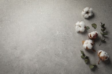 Fluffy cotton flowers and green leaves on light grey textured background, flat lay. Space for text