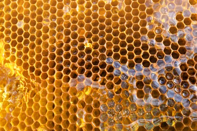 Photo of Uncapped filled honeycomb as background, closeup view