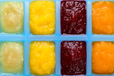 Photo of Different purees in ice cube tray, closeup. Ready for freezing