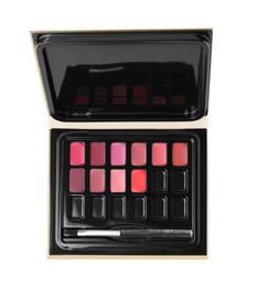 Photo of Colorful lip palette with brush isolated on white, top view. Professional cosmetic product