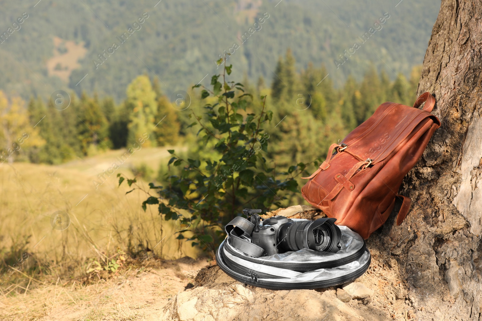 Photo of Backpack and photographer's equipment near tree outdoors