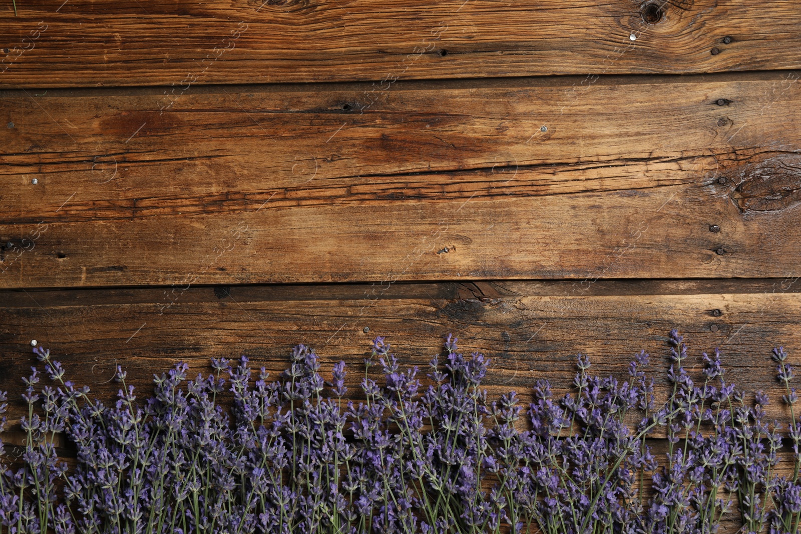 Photo of Beautiful lavender flowers on wooden background, flat lay. Space for text