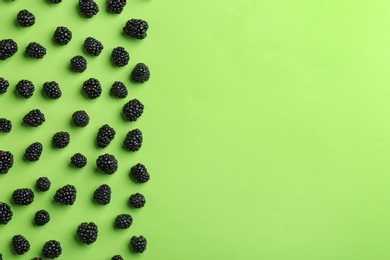 Photo of Fresh ripe blackberries on green background, flat lay. Space for text