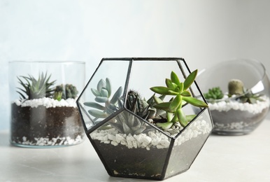Photo of Glass florariums with different succulents on table