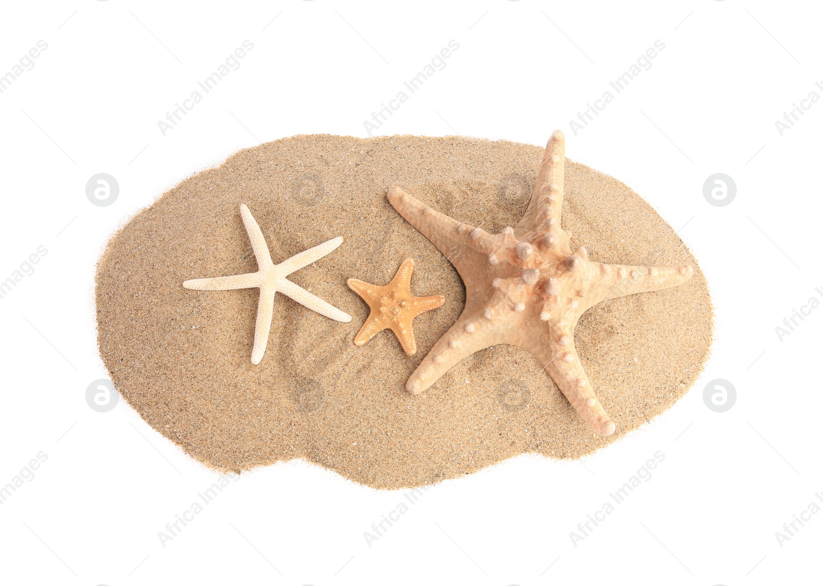 Photo of Beautiful sea stars and sand isolated on white, above view