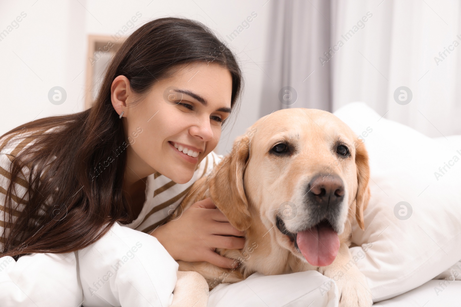 Photo of Happy woman with cute Labrador Retriever on bed at home