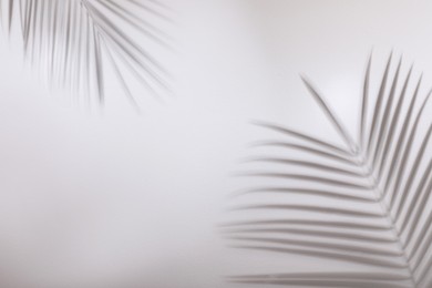 Photo of Shadows of tropical palm branches on white wall. Space for text