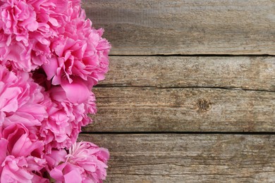 Beautiful pink peonies on wooden table, flat lay. Space for text