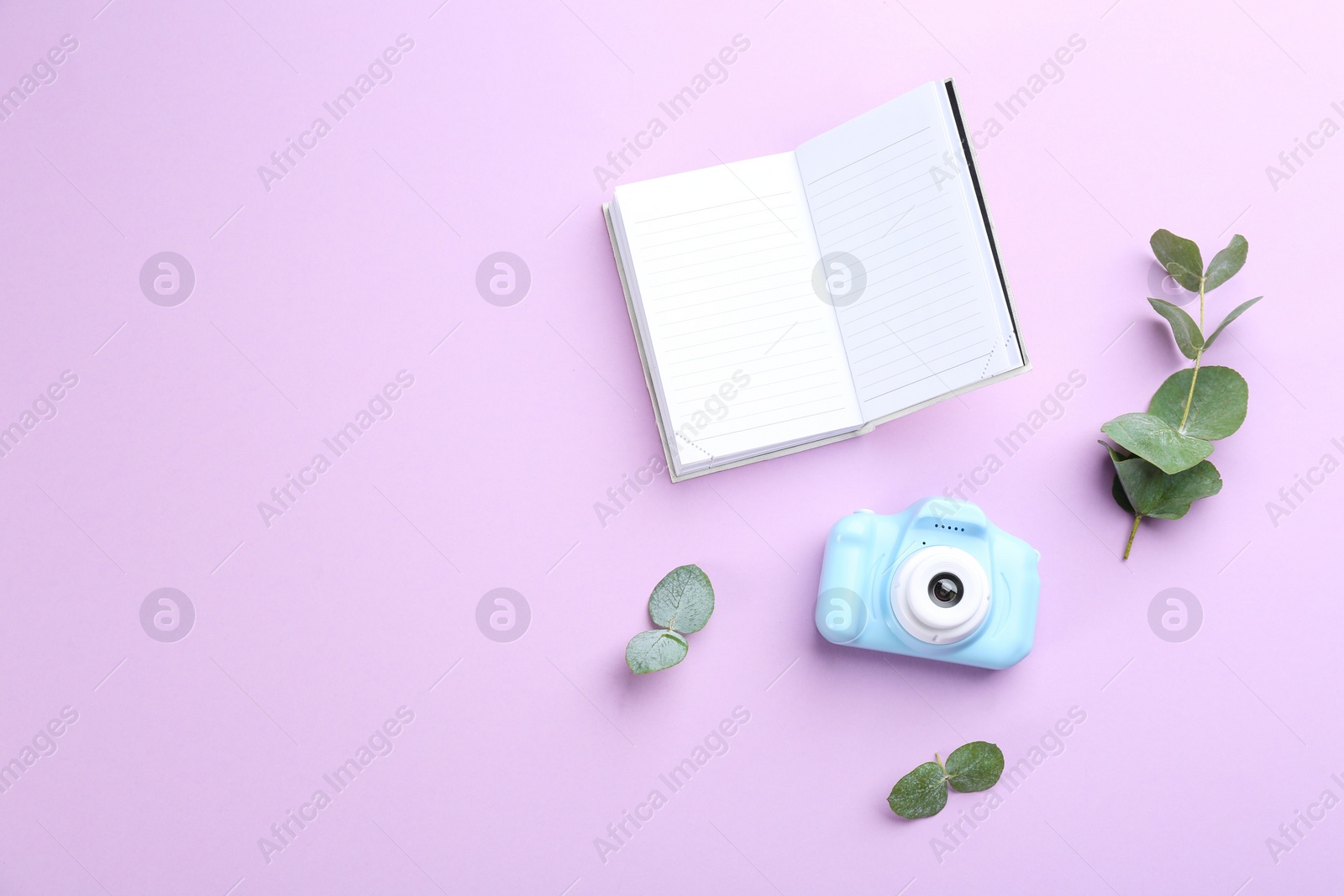 Photo of Toy camera, planner and eucalyptus on pink background, top view. Space for text