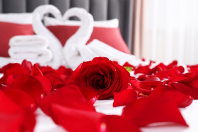 Photo of Honeymoon. Swans made with towels and beautiful rose petals on bed in room, selective focus