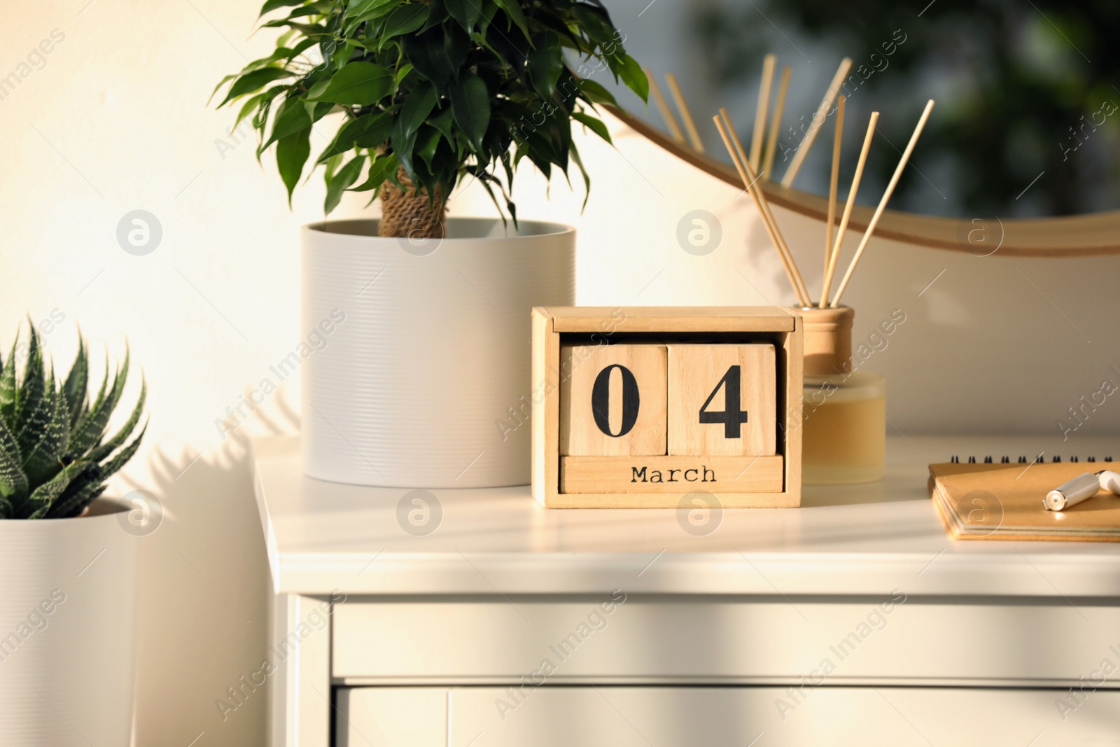 Photo of Wooden block calendar and plant on white table indoors