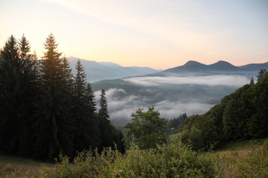 Photo of Picturesque view of beautiful foggy mountains in morning