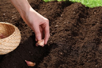 Photo of Woman planting garlic cloves into fertile soil outdoors, closeup. Space for text
