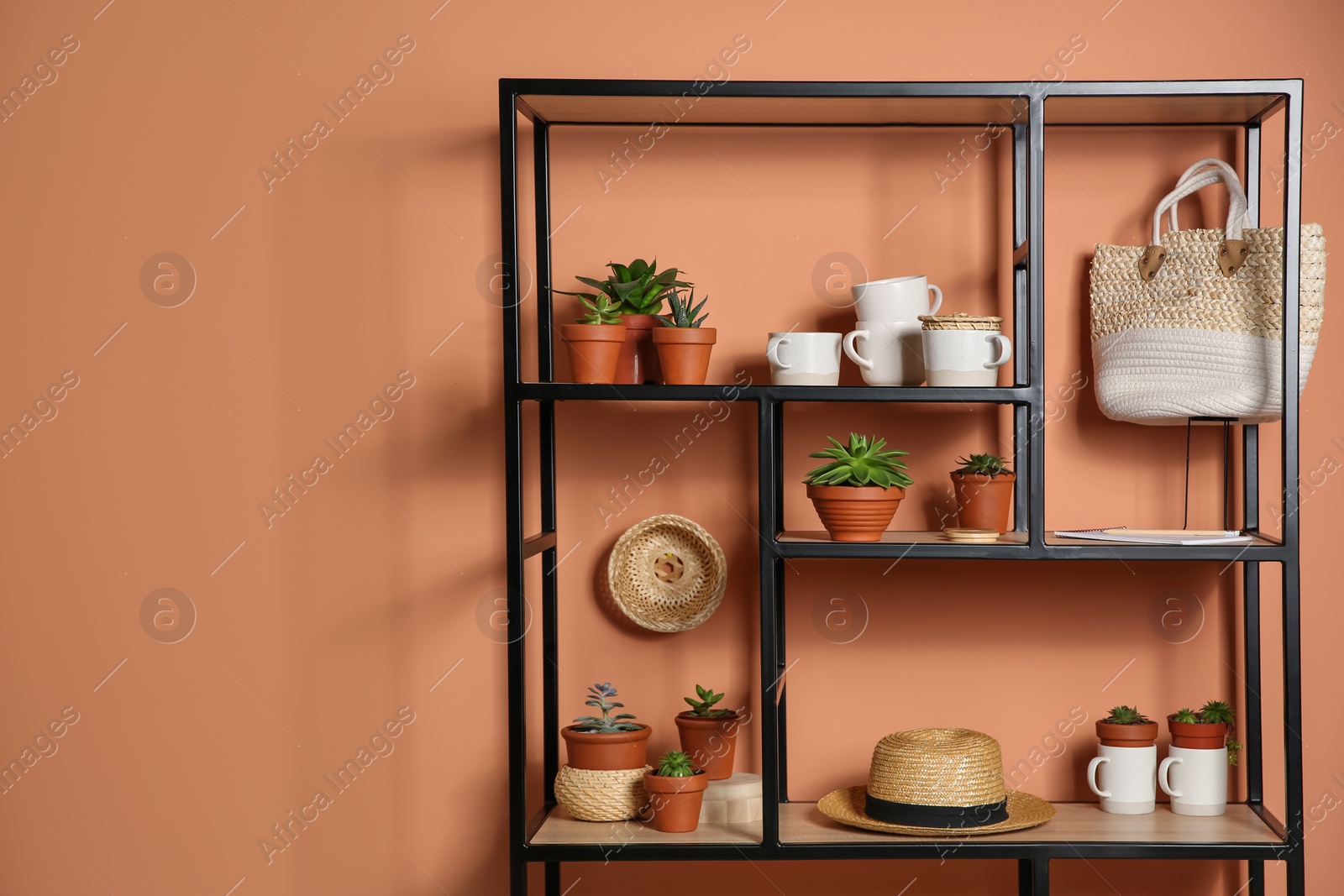 Photo of Stylish shelving unit with decorative elements near color wall. Space for text