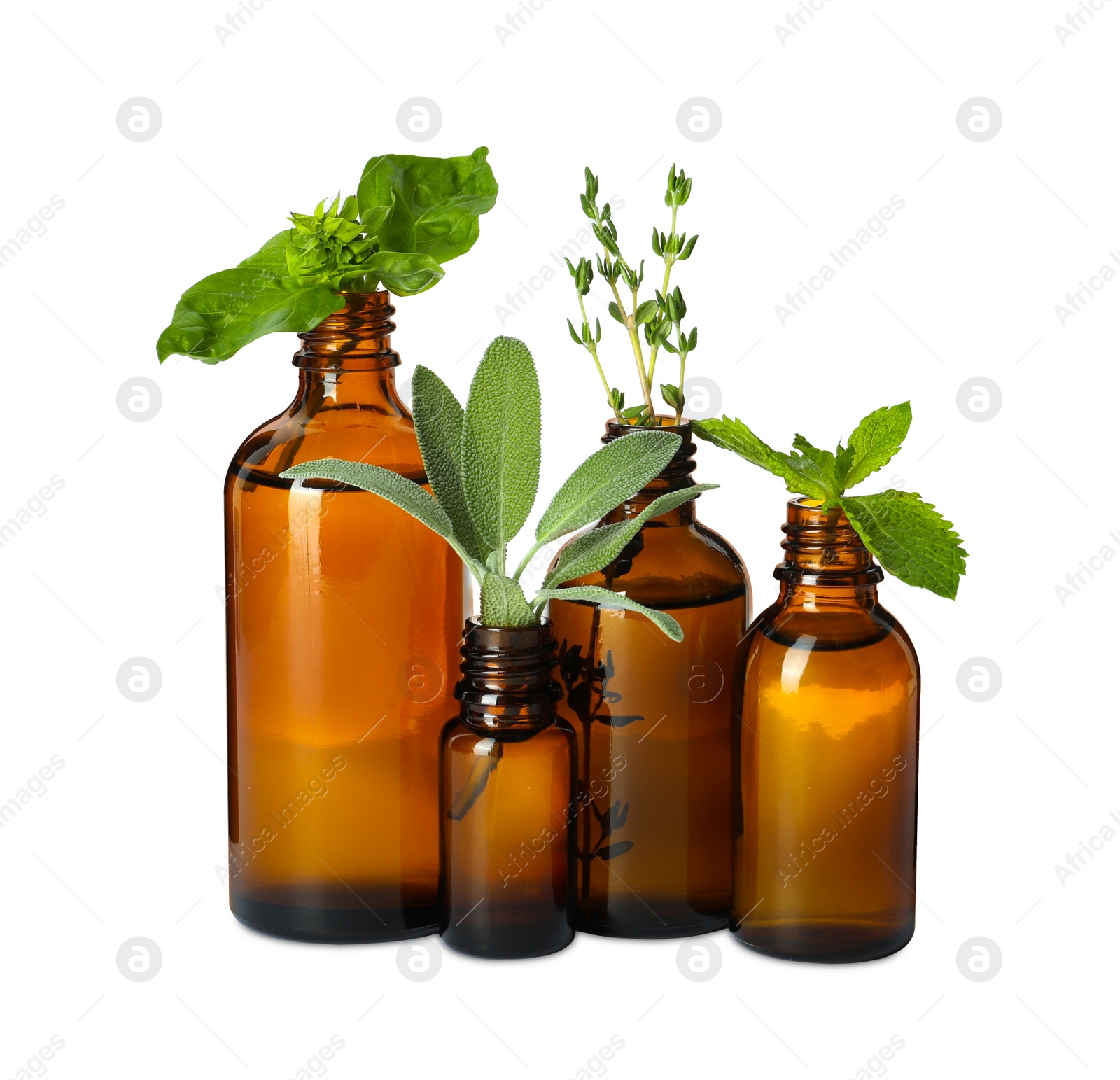 Photo of Bottle of essential oil and fresh herbs isolated on white