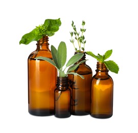 Photo of Bottle of essential oil and fresh herbs isolated on white