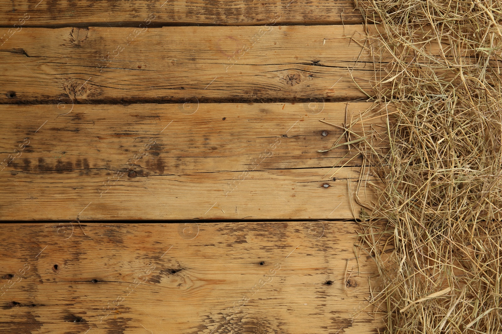 Photo of Dried hay on wooden background, flat lay. Space for text