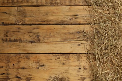 Dried hay on wooden background, flat lay. Space for text