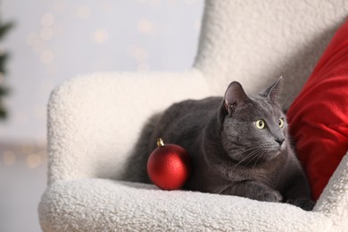 Cute cat with Christmas ball on armchair indoors