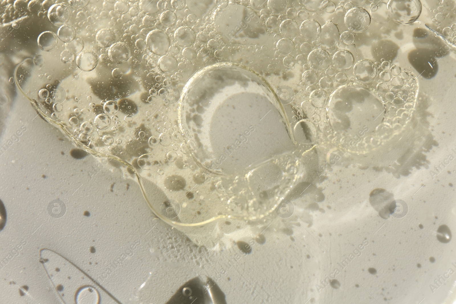 Photo of Petri dish with color liquid sample, closeup