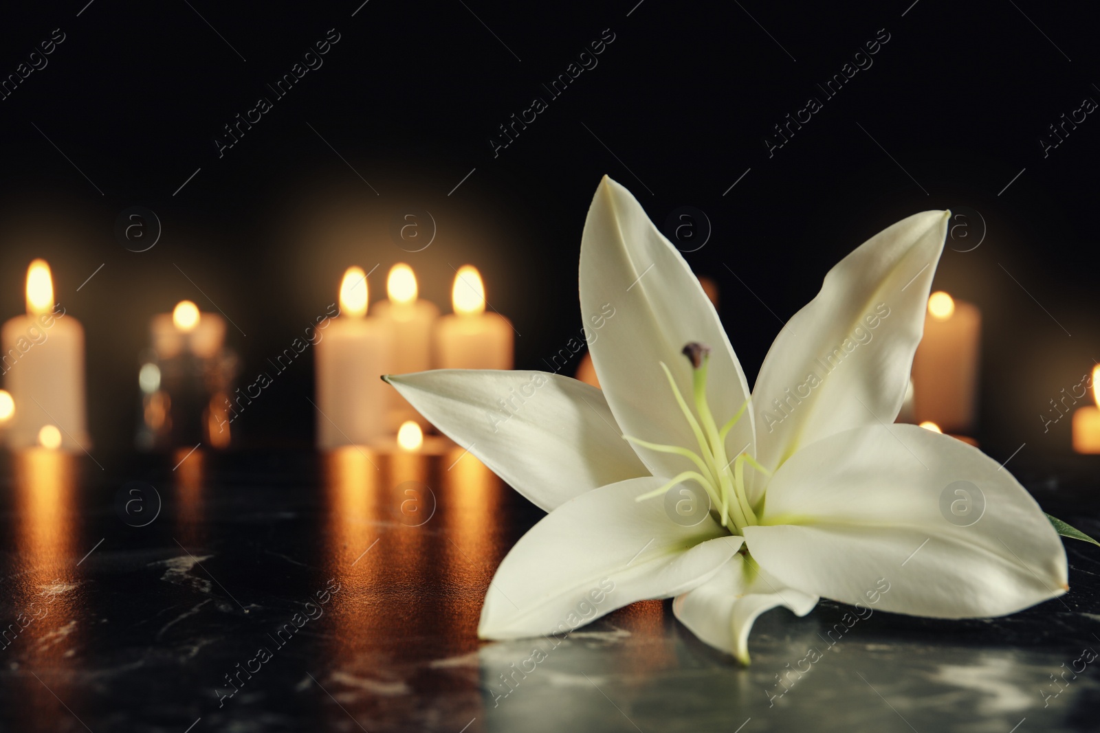Photo of White lily and blurred burning candles on table in darkness, space for text. Funeral symbol