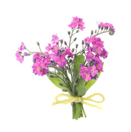 Photo of Bouquet of beautiful pink Forget-me-not flowers isolated on white